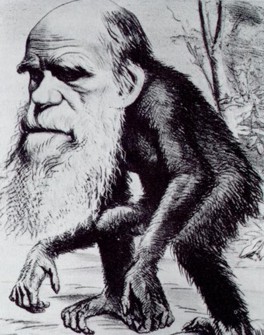 Darwin Ape